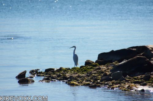 Fotografia de Kike Voxx - Galeria Fotografica: Galeria Kike Voxx - Foto: 