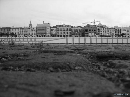 Fotografia de Sharklock - Galeria Fotografica: Seleccin - Foto: Sin ttulo 04