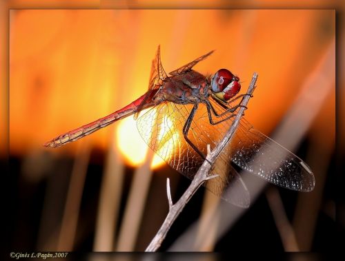 Fotografia de scrapidu - Galeria Fotografica: unas fotos - Foto: 