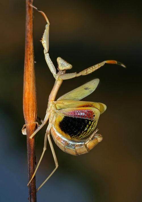 Fotografia de scrapidu - Galeria Fotografica: unas fotos - Foto: 
