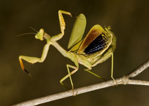 Fotografia de scrapidu - Galeria Fotografica: unas fotos - Foto: 