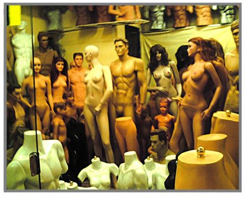 Fotografia de George - Galeria Fotografica: VARIAS - Foto: 