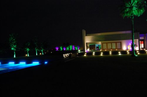 Fotografia de Diana Do de O - Galeria Fotografica: fiestas - Foto: 