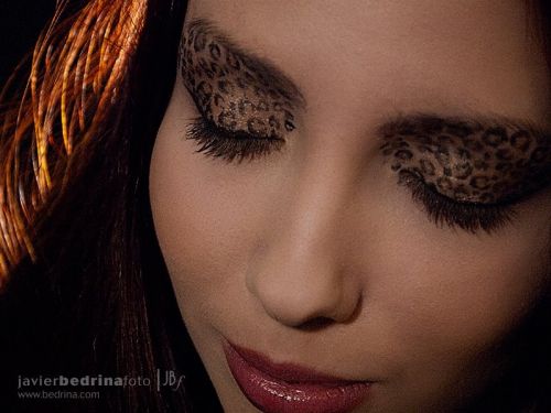 Fotografia de Alexandra  - Galeria Fotografica: 15-2-12 - Foto: 