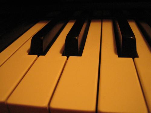 Fotografia de paharo - Galeria Fotografica: lineas, planos, vistas, puntos - Foto: teclas