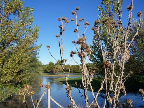 Fotografia de Nikolas - Galeria Fotografica: Club de golf Baha Blanca - Foto: Cardo