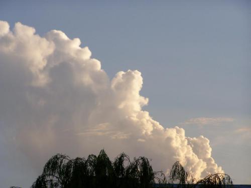 Fotografia de Nikolas - Galeria Fotografica: Cielos - Foto: Algodon