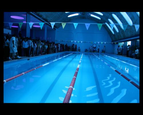 Fotografia de Rolando - Galeria Fotografica: VIDA EN AZUL - Foto: 