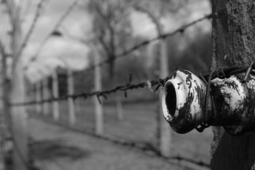 Fotografia de Mati Ramirez - Galeria Fotografica: algunas - Foto: 