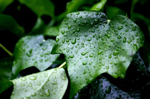 Fotografia de Mati Ramirez - Galeria Fotografica: algunas - Foto: 