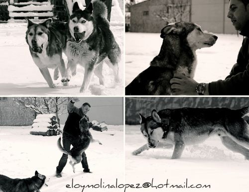 Fotografia de elointeriores - Galeria Fotografica: fhotos - Foto: 