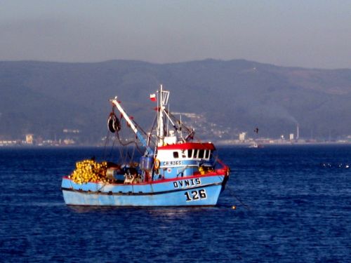 Fotografia de Aninimus - Galeria Fotografica: paisajes - Foto: frente a El-Barquito de talcahuano