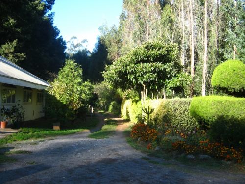 Fotografia de Aninimus - Galeria Fotografica: paisajes - Foto: camino del agua