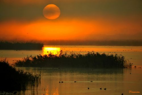 Fotografia de Mireia Canicio - Galeria Fotografica: LUCES - Foto: MADRUGADA Y MISTERIO