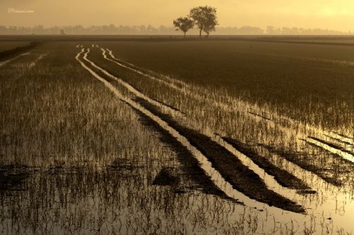 Fotografia de Mireia Canicio - Galeria Fotografica: LUCES - Foto: HASTA EL HORIZONTE