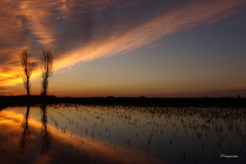 Fotografia de Mireia Canicio - Galeria Fotografica: LUCES - Foto: ESPERANDO MISTRAL