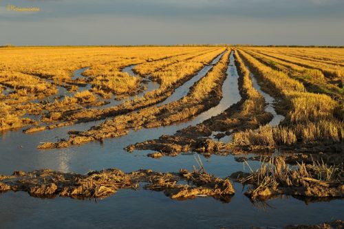 Fotografia de Mireia Canicio - Galeria Fotografica: LUCES - Foto: NUESTRA TIERRA