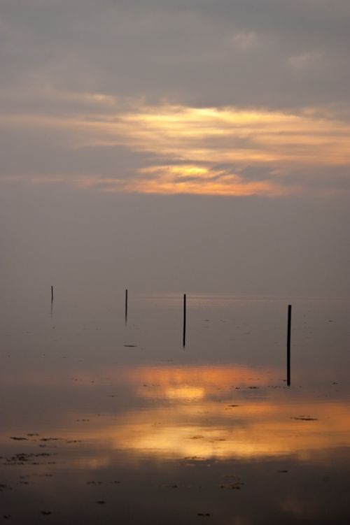 Fotografia de Mireia Canicio - Galeria Fotografica: LUCES - Foto: DIAGONAL EN PAZ