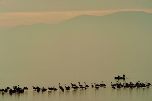 Fotografia de Mireia Canicio - Galeria Fotografica: LUCES - Foto: MOMENTOS