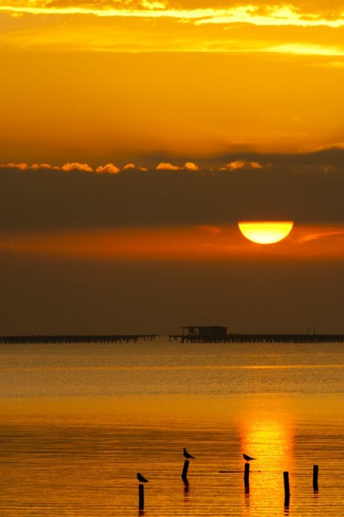 Fotografia de Mireia Canicio - Galeria Fotografica: LUCES - Foto: AMANECE...