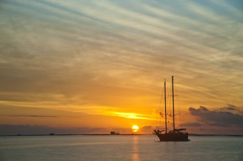 Fotografia de Mireia Canicio - Galeria Fotografica: LUCES - Foto: LIBERTAD