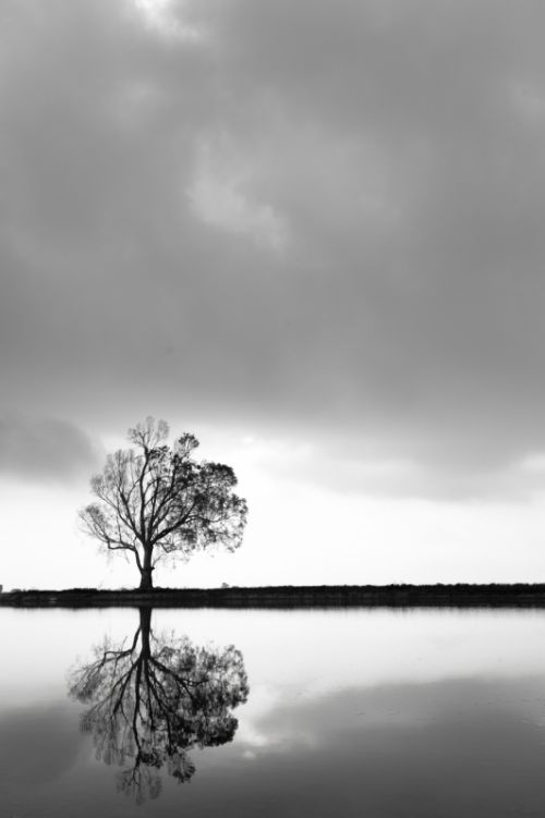 Fotografia de Mireia Canicio - Galeria Fotografica: LUCES - Foto: PAISAJE SIMETRICO II