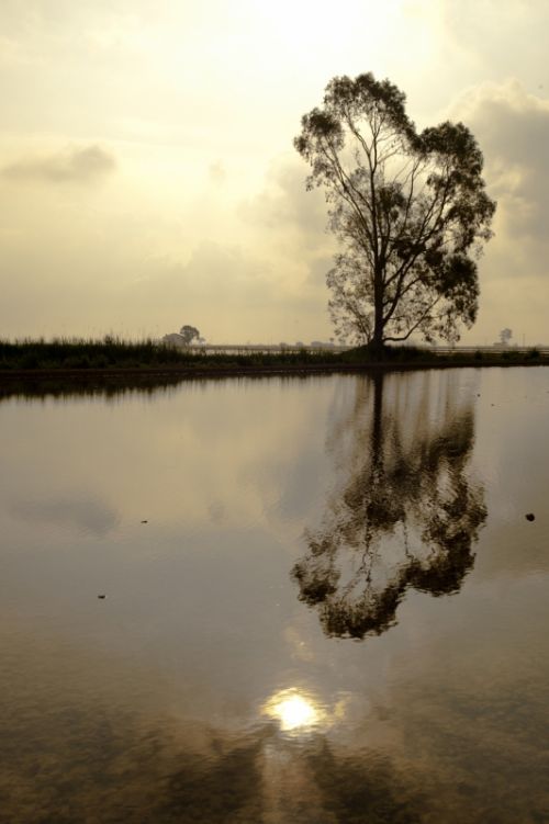 Fotografia de Mireia Canicio - Galeria Fotografica: LUCES - Foto: PAISAJE SIMETRICO Y NUBES