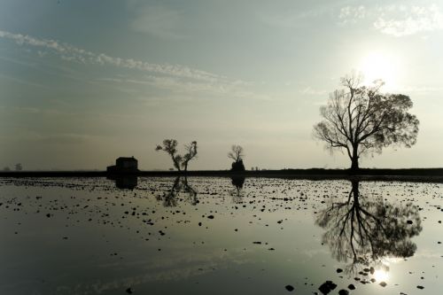 Fotografia de Mireia Canicio - Galeria Fotografica: LUCES - Foto: PAISAJE SIMETRICO V