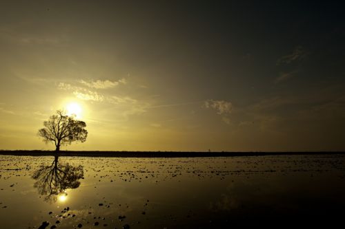 Fotografia de Mireia Canicio - Galeria Fotografica: LUCES - Foto: LUZ EN EL PAISAJE SIMETRICO