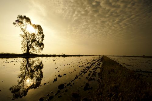 Fotografia de Mireia Canicio - Galeria Fotografica: LUCES - Foto: ESPLENDOR EN EL CIELO