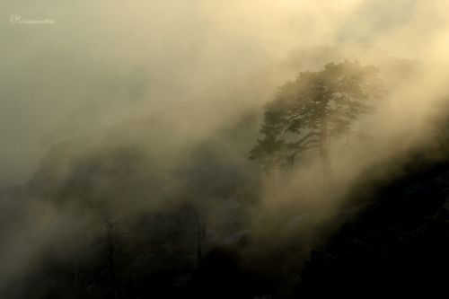 Fotografia de Mireia Canicio - Galeria Fotografica: LUCES - Foto: LA MAGIA DE LOS PUERTOS