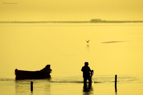 Fotografia de Mireia Canicio - Galeria Fotografica: LUCES - Foto: AMANECER A CONTRALUZ