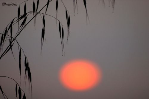 Fotografia de Mireia Canicio - Galeria Fotografica: MISTICA - Foto: UN PUNTO DE COLOR