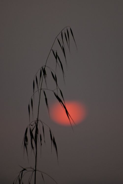 Fotografia de Mireia Canicio - Galeria Fotografica: MISTICA - Foto: LA MAGIA DEL MOMENTO