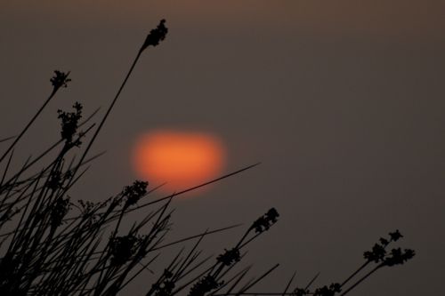 Fotografia de Mireia Canicio - Galeria Fotografica: MISTICA - Foto: MOMENTOS ZEN 