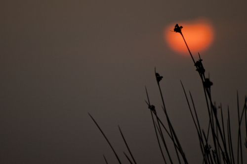 Fotografia de Mireia Canicio - Galeria Fotografica: MISTICA - Foto: MOMENTOS ZEN