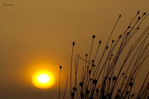 Fotografia de Mireia Canicio - Galeria Fotografica: MISTICA - Foto: SENCILLEZ Y DETALLE