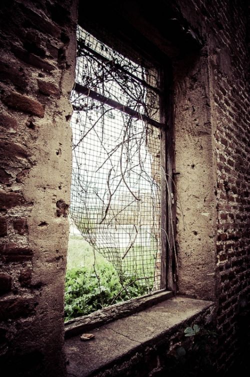 Fotografia de Iso Sensitivity - Galeria Fotografica: Iso Sensitivity - Foto: 