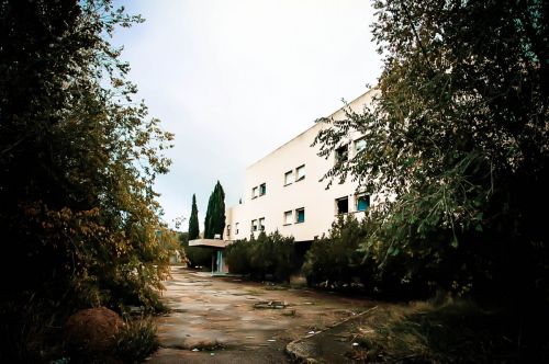 Fotografia de Iso Sensitivity - Galeria Fotografica: Iso Sensitivity - Foto: 