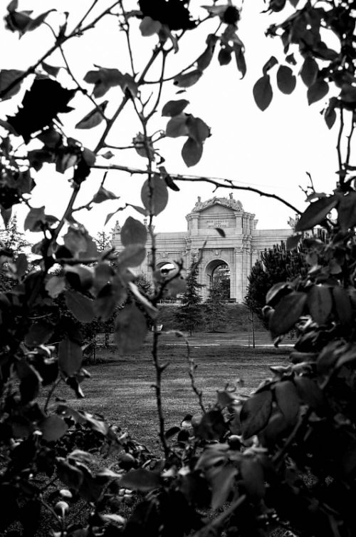 Fotografia de Iso Sensitivity - Galeria Fotografica: Iso Sensitivity - Foto: 