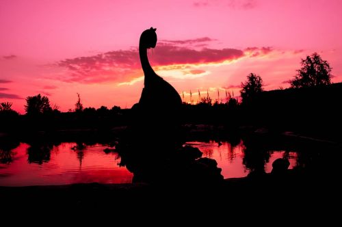 Fotografia de Iso Sensitivity - Galeria Fotografica: Iso Sensitivity - Foto: 