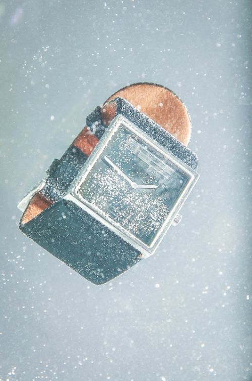 Fotografia de Iso Sensitivity - Galeria Fotografica: Iso Sensitivity - Foto: 