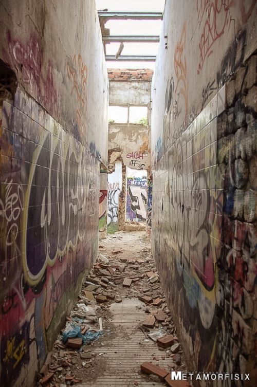 Fotografia de Iso Sensitivity - Galeria Fotografica: Iso Sensitivity - Foto: 