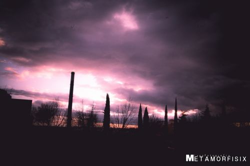 Fotografia de Iso Sensitivity - Galeria Fotografica: Iso Sensitivity - Foto: 