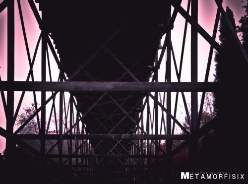 Fotografia de Iso Sensitivity - Galeria Fotografica: Iso Sensitivity - Foto: 