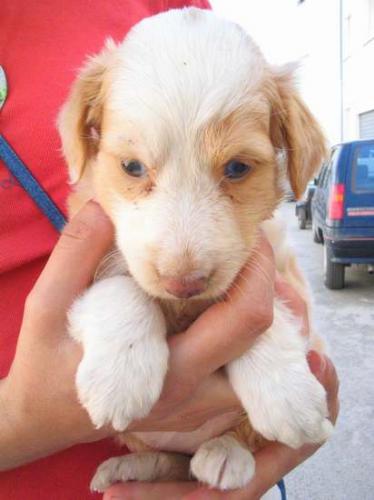 Fotografia de Juan Manuel Martinez - Galeria Fotografica: Animales - Foto: 