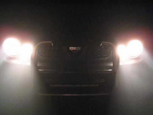 Fotografia de Juan Manuel Martinez - Galeria Fotografica: Animales - Foto: 