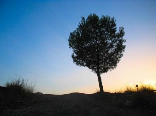 Fotografia de Juan Manuel Martinez - Galeria Fotografica: Lugares de Espa�a - Foto: Isso (Albacete)