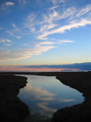 Fotografia de Juan Manuel Martinez - Galeria Fotografica: Lugares de Espa�a - Foto: Delta del Ebro (Tarragona)