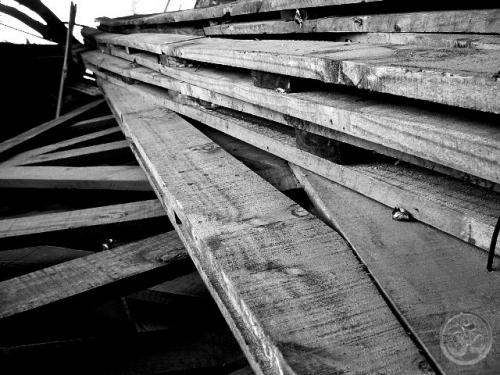 Fotografia de ///Yamuna Devi Dasi/// - Galeria Fotografica: Del Negro Al Blanco!! - Foto: Cadaveres